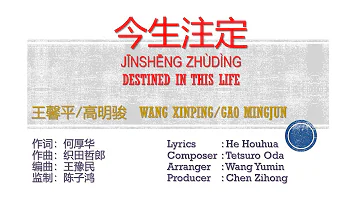 今生註定 Jin Sheng Zhu Ding ~ 王馨平 Wang Xinping/高明骏 Gao Mingjun Karaoke