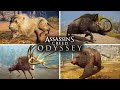 Assassin's Creed Odyssey - Killing All 8 Legendary Animals ( Daughters of Artemis Questline )