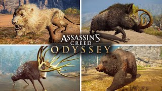 Assassin's Creed Odyssey - Killing All 8 Legendary Animals (Daughters of Artemis Questline)