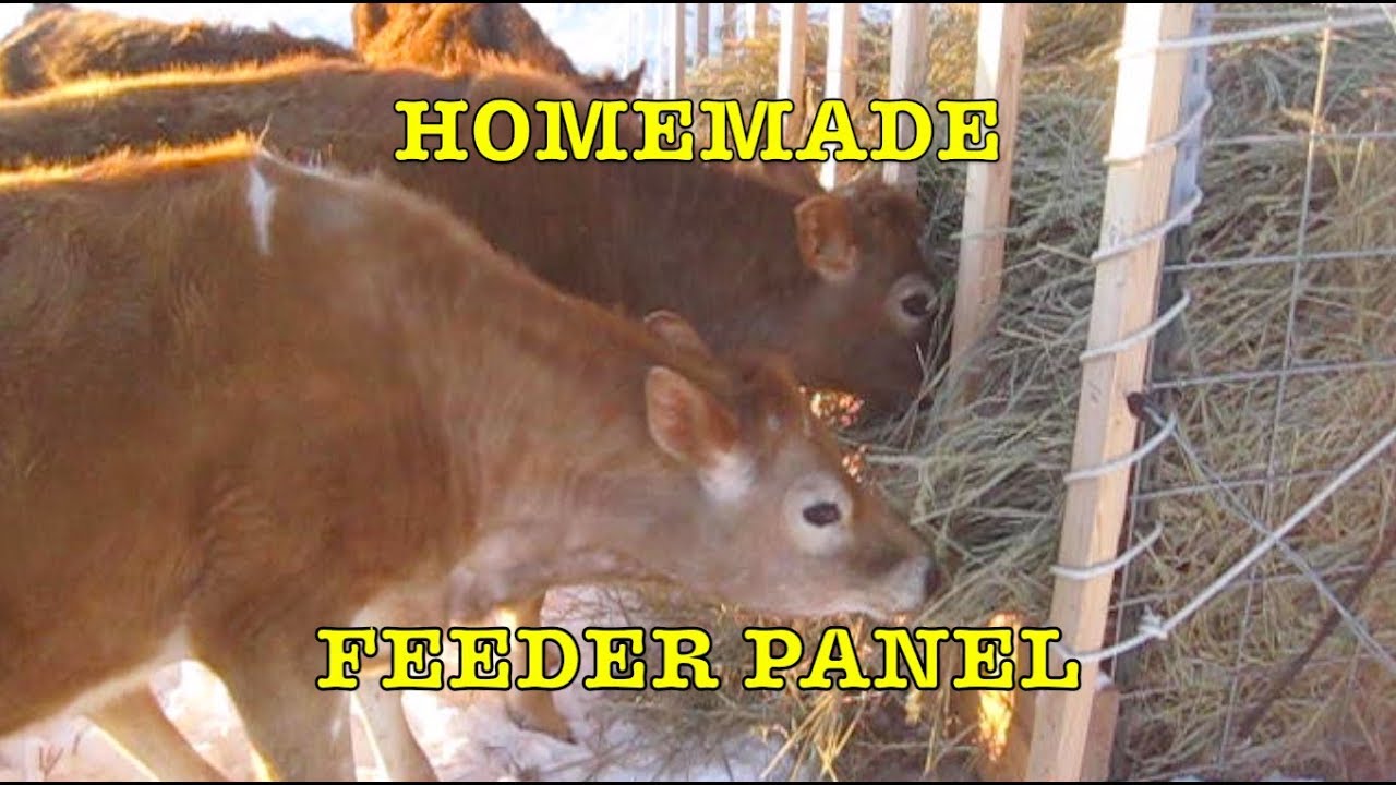 Homemade Feeder Panel for Cows YouTube