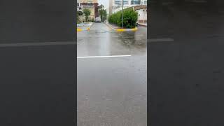 Rain Drops on Wet Road 🌧️ | Calm Rain Ambience #rain #rainsounds