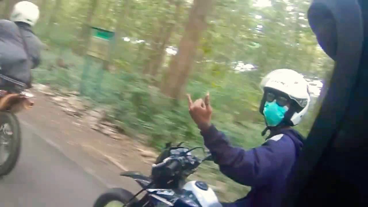 Taman Nasional Alas purwo(trip alas Purwo)