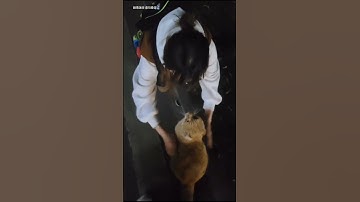 Built for precision, assembled for performance — trust every connection. #connectors #oem #machine