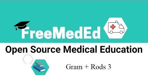 Bacteria 2C: Clostridium, Corynebacterium, Listeria, Nocardia, Actinomyces, Bacillus (Diagnosis)