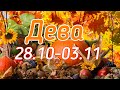 ДЕВА. С 28 ОКТЯБРЯ ПО 3 НОЯБРЯ 2019. ТАРО-ПРОГНОЗ.