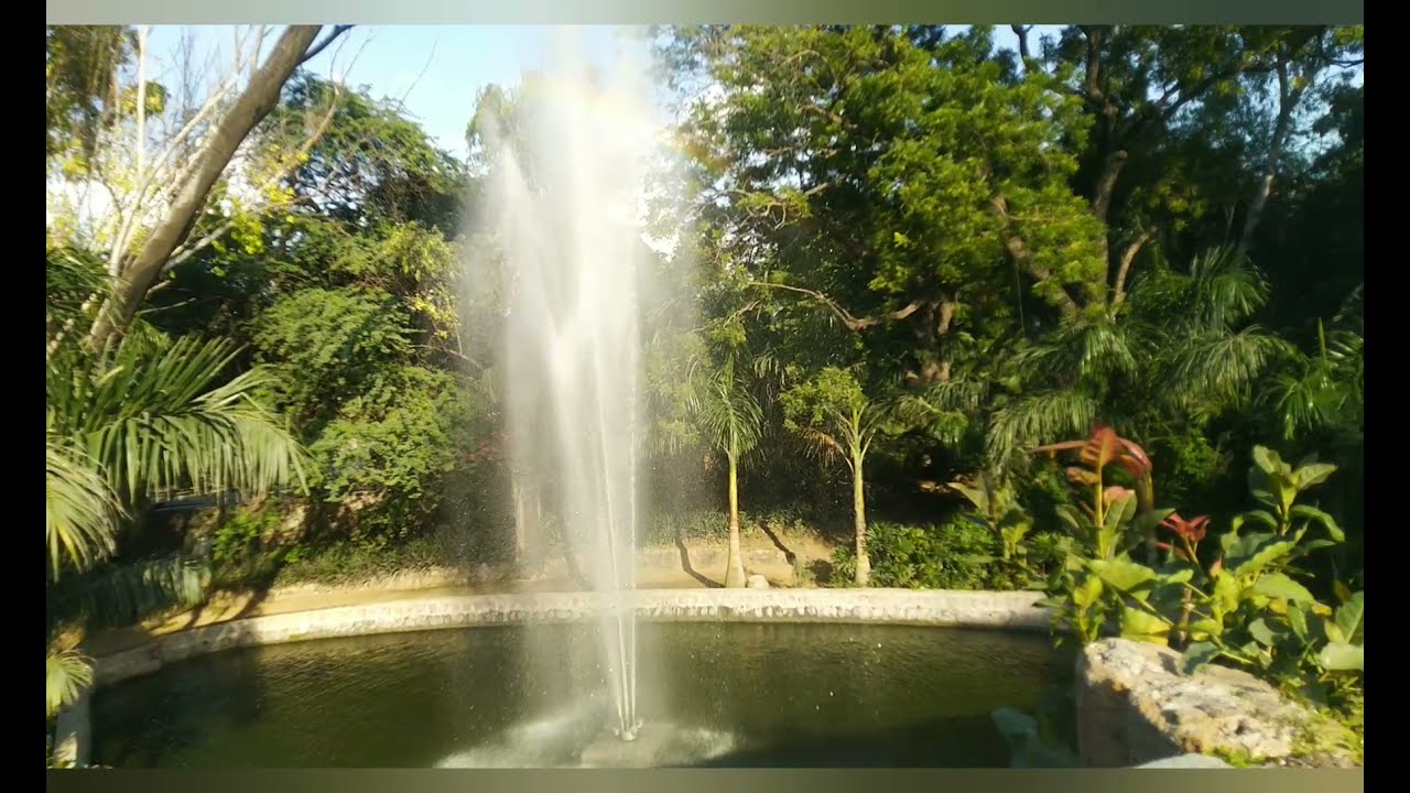 Lodhi Garden Part-1 | Delhi | 