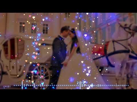 آغا داماد جوانی 