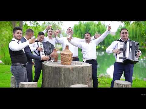Nicu Paleru - Hai sa cante muzica Oficial Audio 2018