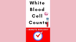 White blood cell count blood test #biology #microbiology #immunology #review #shorts #blood