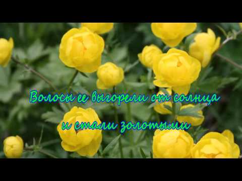 Купальница