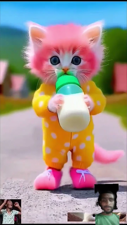 🔥didi didi dam dam ❤️🙏#shorts #trendingshorts  #shortvideo #viralvideo #cat dance