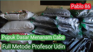Pupuk Dasar Menanam Cabe II Full Metode Profesor Udin