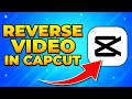 How to Reverse Video in CapCut – Rewind Effect