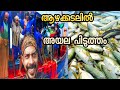 വലിയ ലേലാന്റിൽ ആഴക്കടലിൽ പോയി അയല പിടിച്ചു| Kerala Fishing