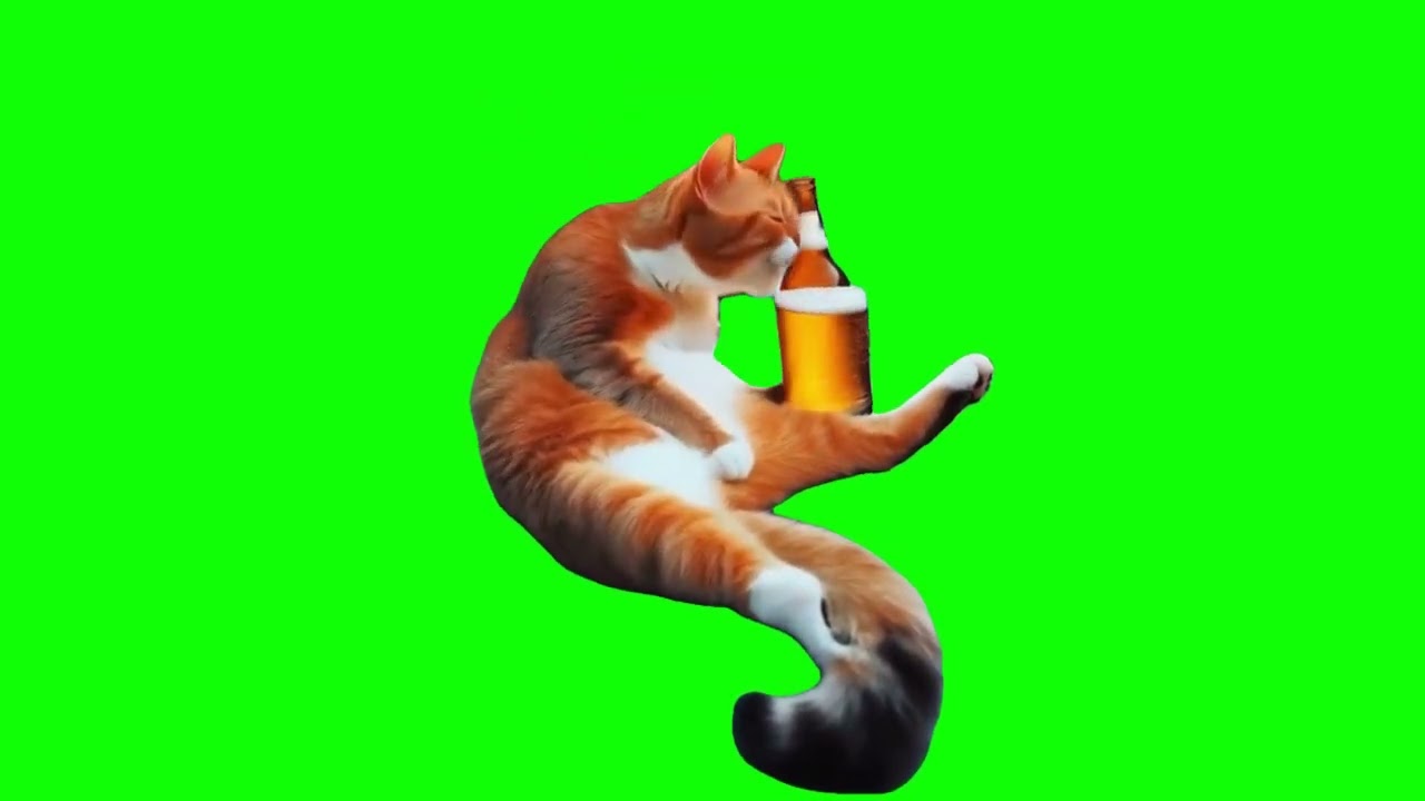 Cat drinks alcohol Green Screen