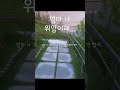 암에 걸린 사실을 알리기가 두려웠다.  #위암 #암환자브이로그