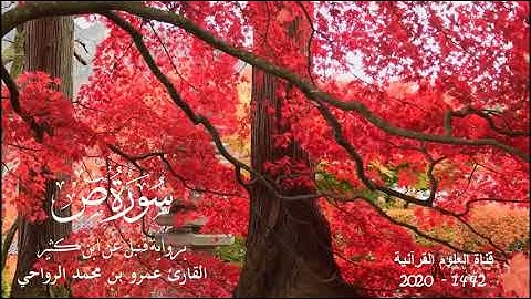 سورة ص || برواية قنبل عن ابن كثير || القارئ عمرو بن محمد الرواحي