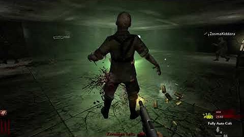 Fanatic - Call of Duty World at War Custom Zombies