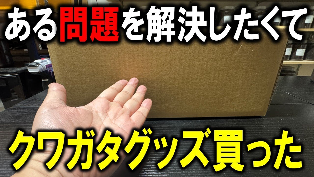 ある問題を解決するために、クワガタグッズを買ってみた
