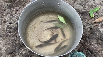 Trải nghiệm đi câu cua câu cá trên đảo Long Sơn - Vũng Tàu 🦀🐠