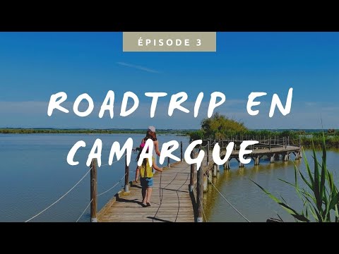 ROADTRIP EN CAMARGUE #3 - Centre du Scamandre - Famille nomade - vanlife - camping car