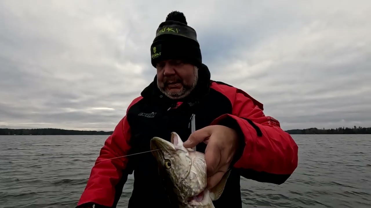 Syksyn sekakala päivä Vesijärvellä., niin sanotusti kortti saatiin täyteen.