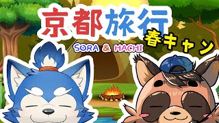 【犬と狸の】京都旅行！桜満開春キャンプ！の巻！【お土産話】