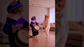 Belly Dance Cat 2