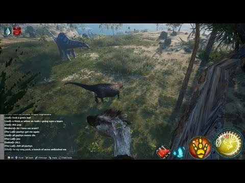 Beasts of Bermuda - A Hungry Audience (No Commentary)