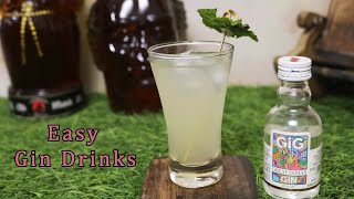 Easy Gin Cocktail Recipe
