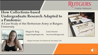 How Collections-based Undergraduate Research Adapted to a Pandemic