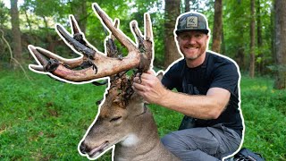 180" URBAN GIANT on Opening Day!: Story of Rufus