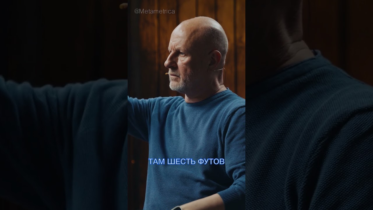 Куда пропала статья о мужеложестве? / Metametrica 