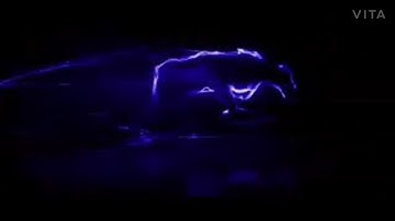 running panther logo reveal animation.runing panther intro.kinemaster se intro .