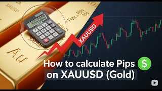 HOW TO CALCULATE PIPS ON XAUUSD ( #gold )