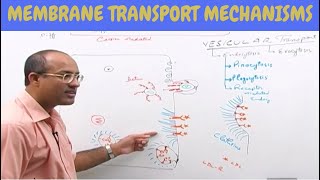 Cell Membrane Transport | Plasma Membrane Transport | Cell Biology🩸