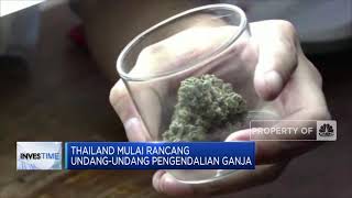 Thailand Mulai Panik Warga Banyak Mabuk Ganja