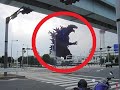 5 godzilla caught on camera  spotted in real life 2