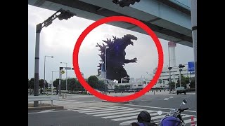 5 Godzilla Caught on Camera & Spotted in Real Life 2