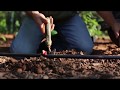 Welcome to the Pepper Guru Channel