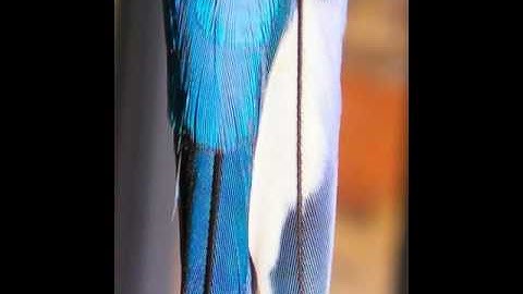 INTJ - INTP Ideal Partners Part 2 of 3