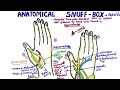 Anatomical Snuff Box | Radial Fossa Anatomy