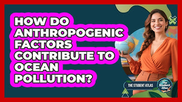 How Do Anthropogenic Factors Contribute To Ocean Pollution?