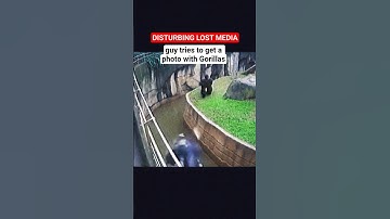 Before Harambe, there was this incident