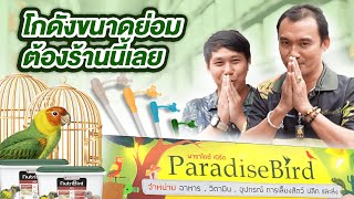 บุกร้าน Paradise Bird จตุจักร โกดังขนาดย่อมต้องร้านนี้เลย !!!