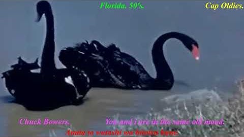 PopCorn Oldies n°82.