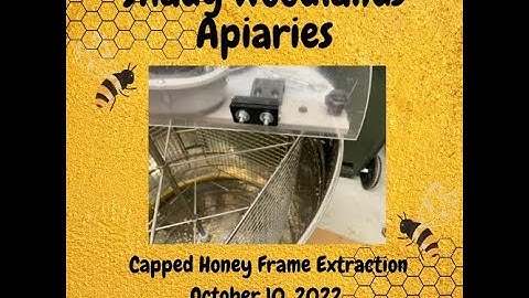 Honey Harvest Extraction from Layens Frames October 10, 2022