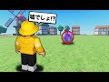 伝説の悪魔の実が落ちていました...【ロブロックス/ROBLOX】