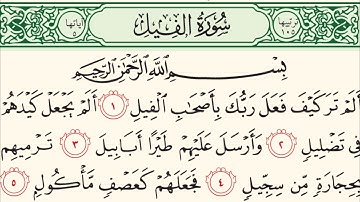 سورة الفيل بصوت الشيخ محمد أيوب 105 Surah Al-Feel