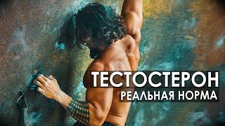 ТЕСТОСТЕРОН: Реальная НОРМА, Вред Кломифена, ГЗТ